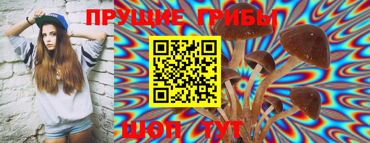 Псилоцибиновые грибы прущие грибы Черняховск