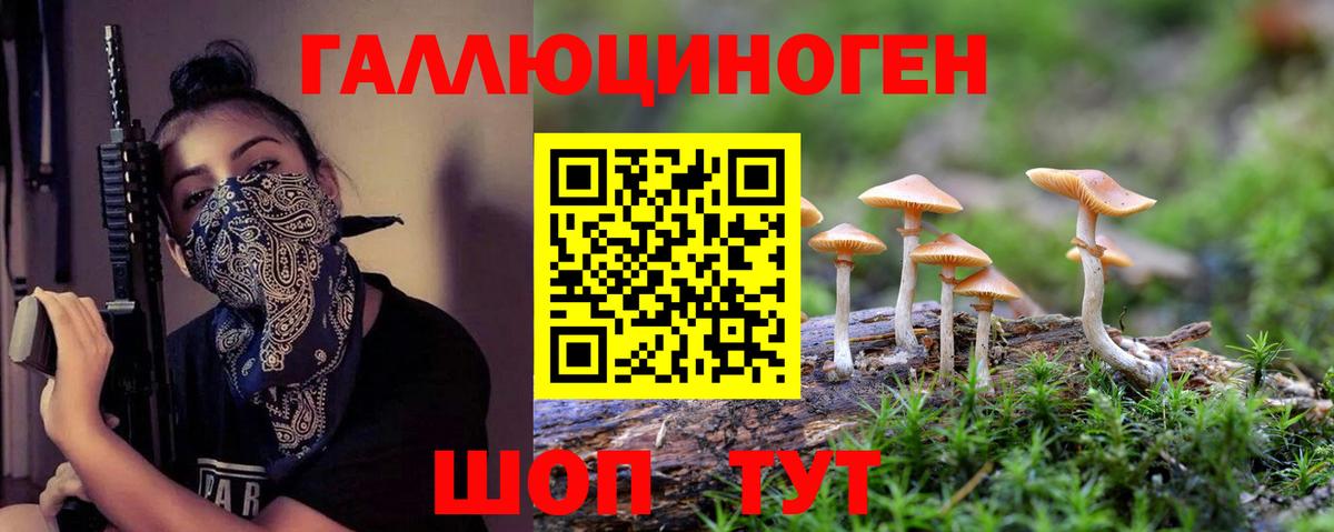 что такое   Вход с VPN  Черняховск  Галлюциногенные грибы мицелий 